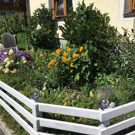 Zedlacher Apartment *
